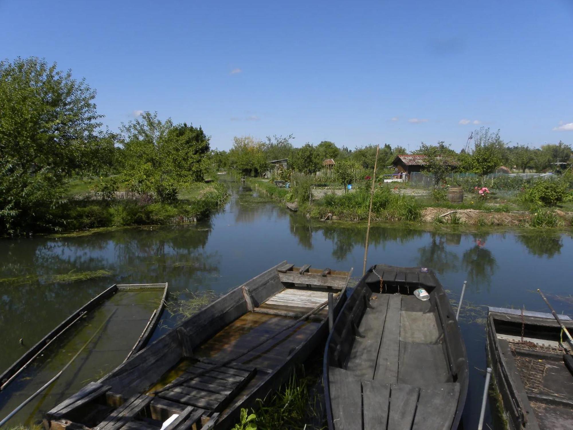Nature Et Bord D'Etang A Jars Dış mekan fotoğraf